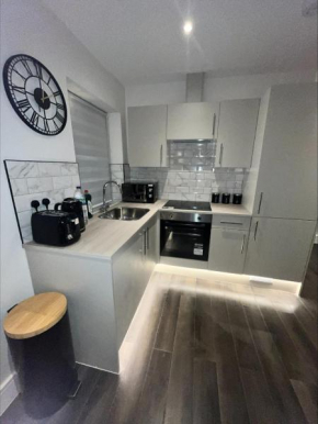 Premium London Apartment - 10 minutes from Wembley Stadium, OVO Wembley Arena